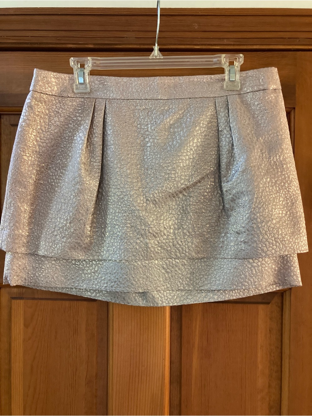 Express Mettalic Skirt